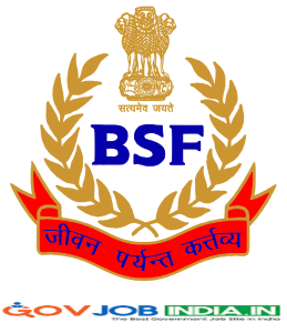 BSF Air Wing and Engineering 2024