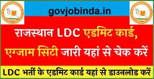 Rajasthan LDC Admit Card 2024